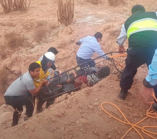 Arequipa: despiste de camioneta dejó una niña fallecida y a su padre gravemente herido 2025